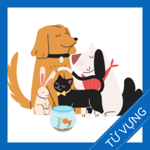 Học từ vựng tiếng anh về c&aacute;c lo&agrave;i th&uacute; cưng miễn ph&iacute;