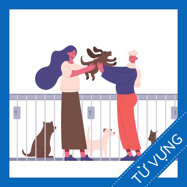 Học từ vựng tiếng anh về nhận nu&ocirc;i một con vật cưng miễn ph&iacute;