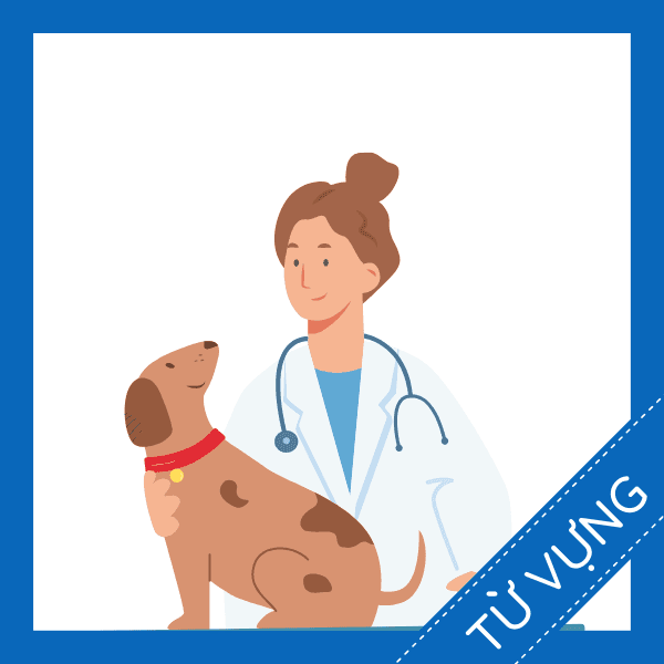 Học từ vựng tiếng anh về tại ph&ograve;ng kh&aacute;m th&uacute; y miễn ph&iacute;