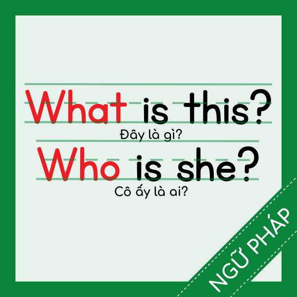 Cách Đặt Câu Hỏi & Câu Hỏi WH