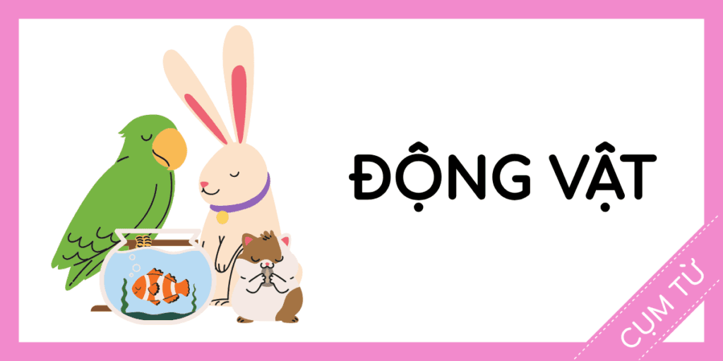 Học cụm từ tiếng anh động vật miễn ph&iacute; rec