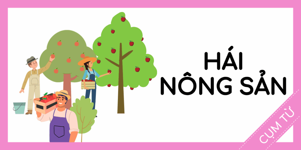 Học cụm từ tiếng anh người hái nông sản miễn phí rec
