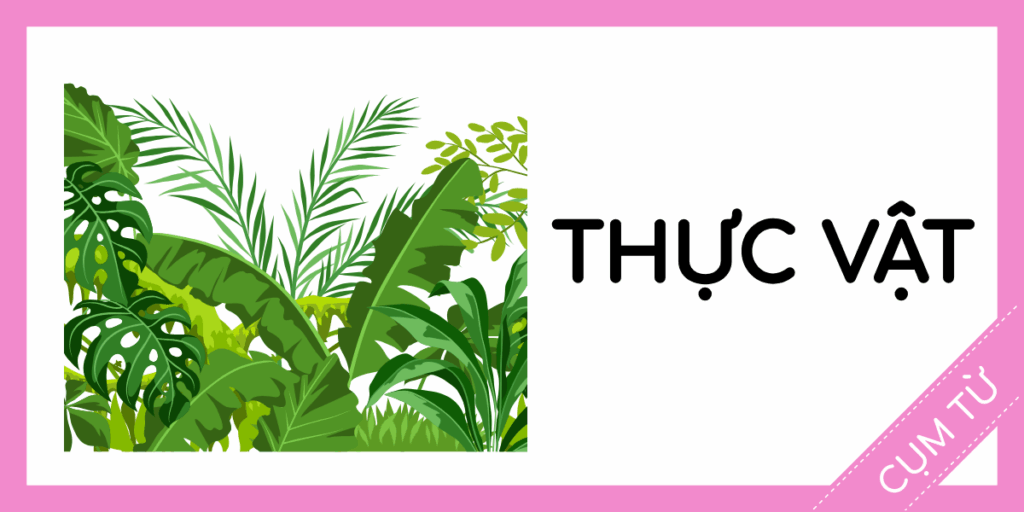 cụm từ tiếng anh thực vật rec