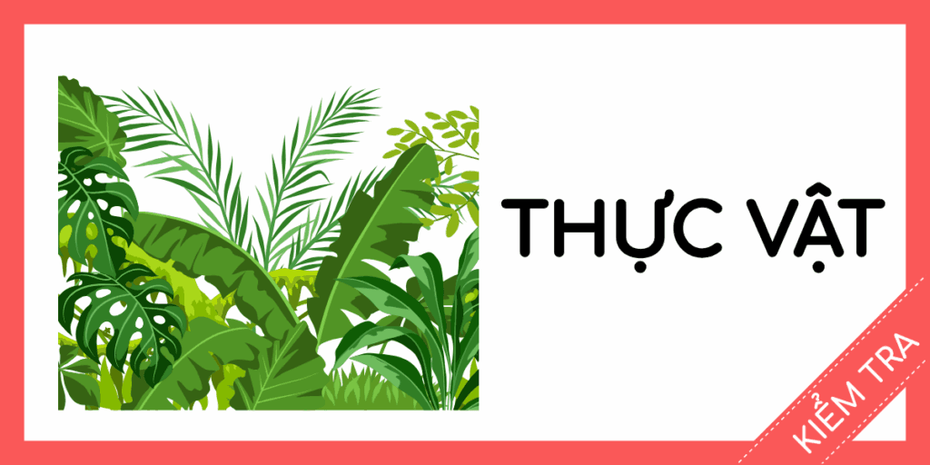 kiểm tra tiếng anh thực vật miễn ph&iacute; rec