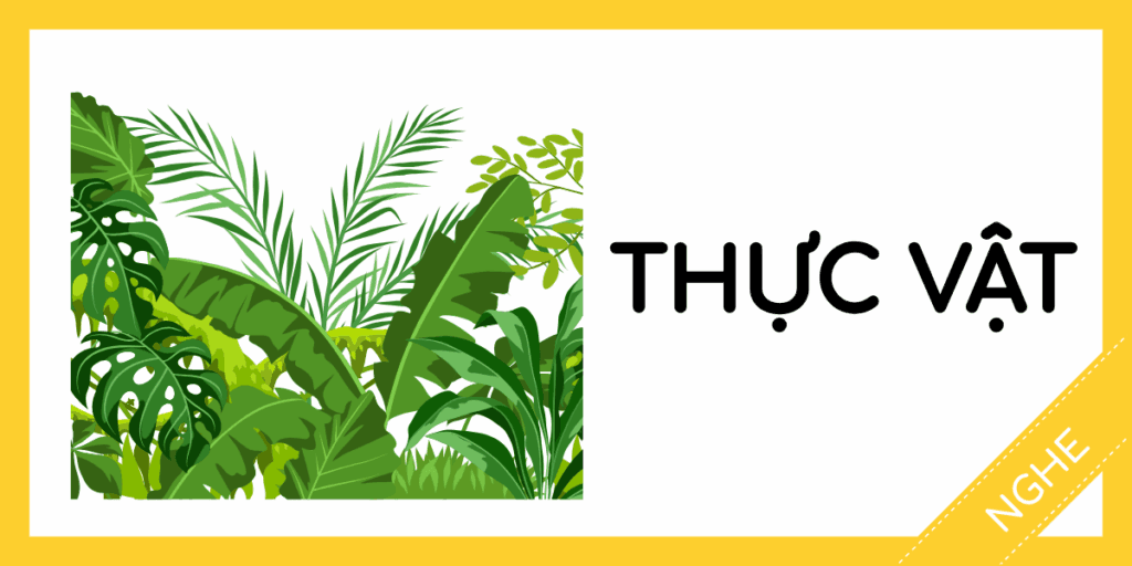 Học nghe tiếng anh thực vật miễn ph&iacute; rec