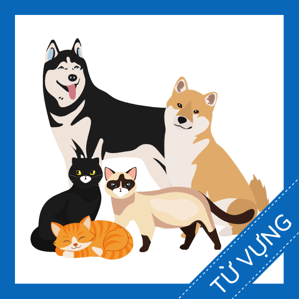 Học từ vựng tiếng anh c&aacute;c giống m&egrave;o v&agrave; ch&oacute; miễn ph&iacute; sq