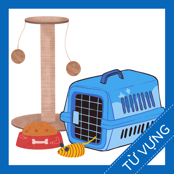 Học từ vựng tiếng anh đồ d&ugrave;ng cho th&uacute; cưng miễn ph&iacute; sq