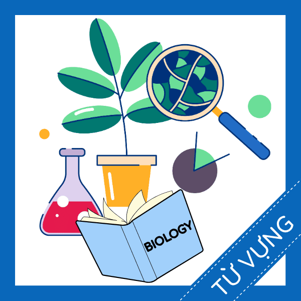 Học từ vựng tiếng anh m&ocirc;n học sinh học miễn ph&iacute; sq